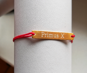 Primus X bratara - 300x250
